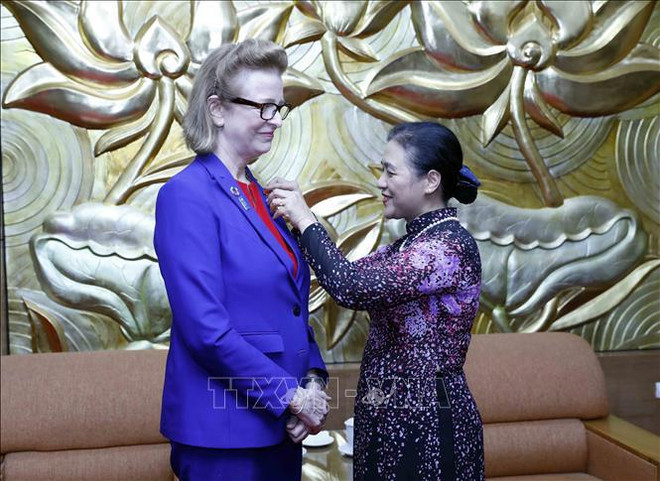 Entregan medalla conmemorativa de amistad a representante de PNUD en Vietnam ảnh 1 Entregan medalla conmemorativa de amistad a representante de PNUD en Vietnam ảnh 1