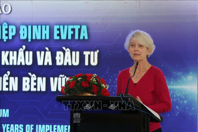 EVFTA promueve oportunidades de exportación entre Vietnam y la UE ảnh 2 EVFTA promueve oportunidades de exportación entre Vietnam y la UE ảnh 2