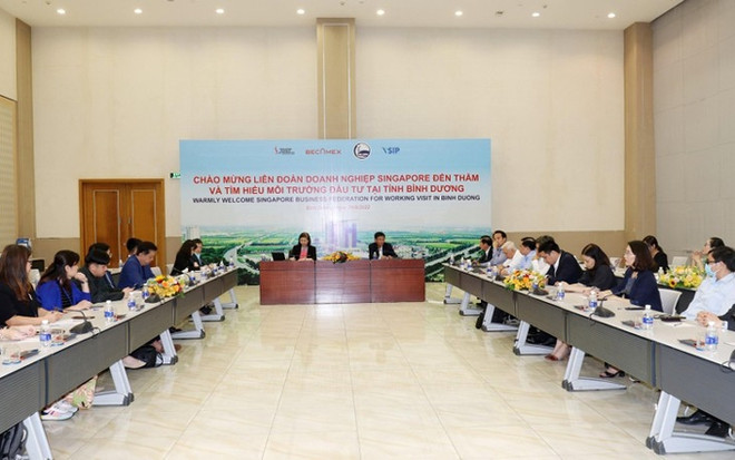 Inversores de Singapur estudian oportunidades de inversión en provincia vietnamita ảnh 1