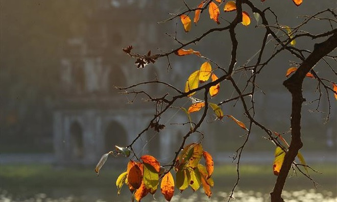 Hanoi entre destinos más bellos en mundo en otoño boreal, según CNN Travel ảnh 1 Hanoi entre destinos más bellos en mundo en otoño boreal, según CNN Travel ảnh 1