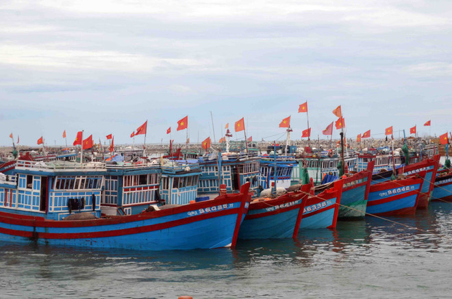 Destacan esfuerzos de provincia vietnamita en lucha contra pesca ilegal ảnh 1 Destacan esfuerzos de provincia vietnamita en lucha contra pesca ilegal ảnh 1