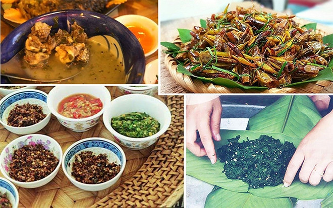 Cocina peculiar de la provincia vietnamita de Son La ảnh 1 Cocina peculiar de la provincia vietnamita de Son La ảnh 1