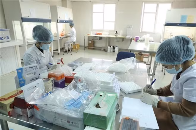 Hanoi realiza test del COVID-19 a quienes regresan de áreas epidémicas ảnh 1