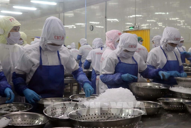 Experimenta Vietnam crecimiento en exportaciones de productos acuícolas ảnh 1