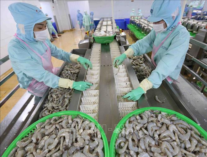 Estados Unidos levanta impuesto antidumping al camarón de empresa vietnamita ảnh 1 Estados Unidos levanta impuesto antidumping al camarón de empresa vietnamita ảnh 1