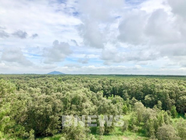 Servicios ambientales forestales de Vietnam generarán 121 millones de dólares en 2021 ảnh 1 Servicios ambientales forestales de Vietnam generarán 121 millones de dólares en 2021 ảnh 1