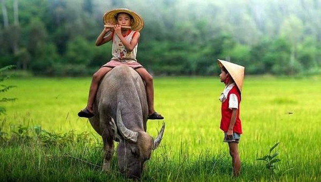 Amor de erudito francés por pinturas folclóricas vietnamitas ảnh 1