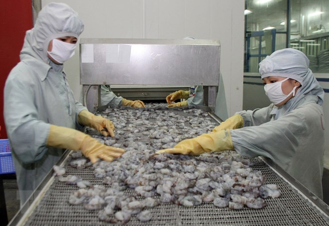 Vietnam reporta gran crecimiento de exportaciones de productos acuícolas en primer trimestre ảnh 1 Vietnam reporta gran crecimiento de exportaciones de productos acuícolas en primer trimestre ảnh 1