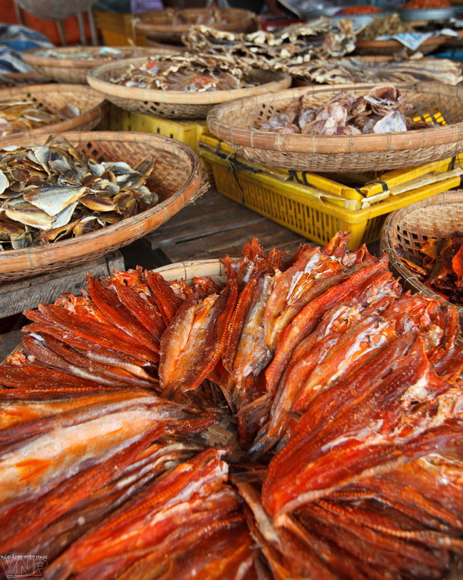 Cabo Ca Mau atrae a visitantes ảnh 6 Cabo Ca Mau atrae a visitantes ảnh 6