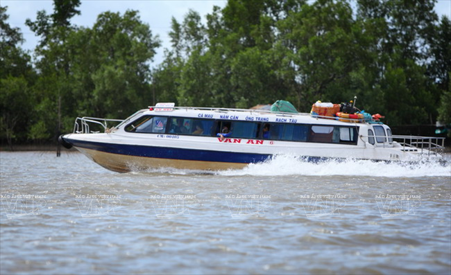Cabo Ca Mau atrae a visitantes ảnh 4 Cabo Ca Mau atrae a visitantes ảnh 4