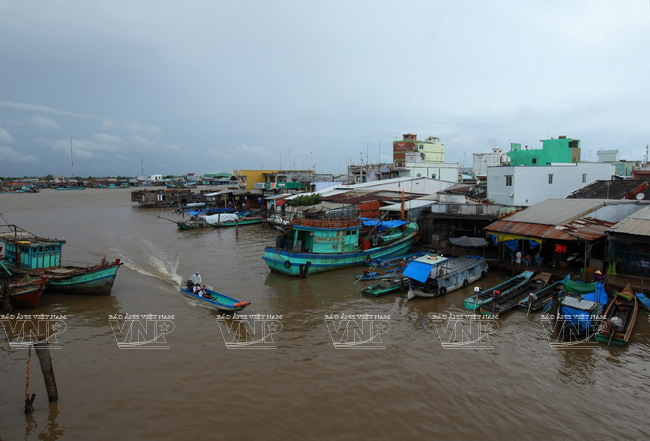 Cabo Ca Mau atrae a visitantes ảnh 2 Cabo Ca Mau atrae a visitantes ảnh 2