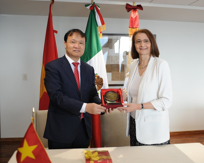 [Foto] Promueven Vietnam y México cooperación económica ảnh 4
