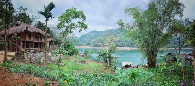 Nuevas tendencias de viajes en Vietnam y en el mundo ảnh 1