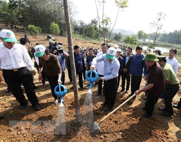 Plantación de árboles, bella tradición del pueblo vietnamita ảnh 1 Plantación de árboles, bella tradición del pueblo vietnamita ảnh 1