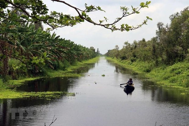 Turismo, sector económico clave de provincia vietnamita de Kien Giang ảnh 3 Turismo, sector económico clave de provincia vietnamita de Kien Giang ảnh 3