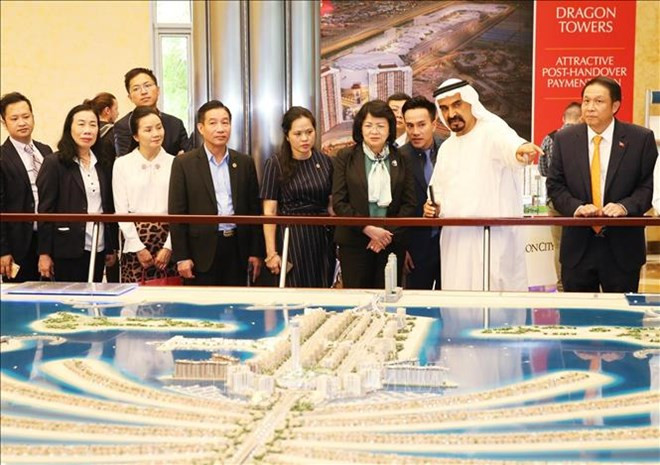 Promueven Vietnam y Emiratos Árabes Unidos cooperación económica ảnh 1
