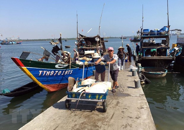El desarrollo del sector acuícola impulsa la economía marítima de Vietnam ảnh 2 El desarrollo del sector acuícola impulsa la economía marítima de Vietnam ảnh 2