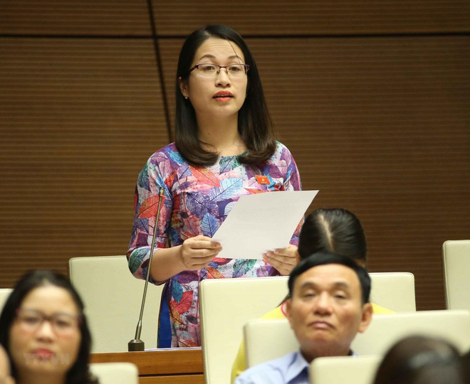 Vietnam impulsa la lucha contra el tráfico humano ảnh 2