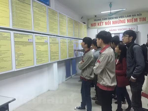 Perspectivas optimistas para mercado laboral de Vietnam en 2019 ảnh 2
