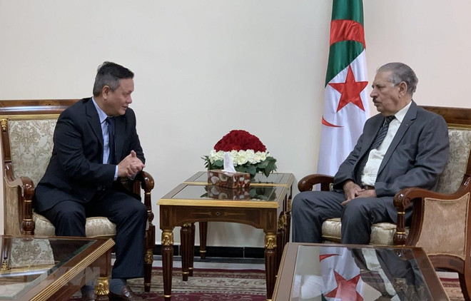Patentizan en Argelia compromiso de fomentar cooperación multifacética con Vietnam ảnh 1 Patentizan en Argelia compromiso de fomentar cooperación multifacética con Vietnam ảnh 1