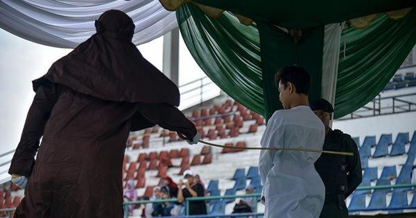 Indonesia castigará con 100 latigazos a los cazadores furtivos ảnh 1