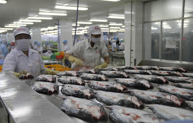 Califica el Banco Mundial de positivo el panorama económico de Vietnam ảnh 1 Califica el Banco Mundial de positivo el panorama económico de Vietnam ảnh 1
