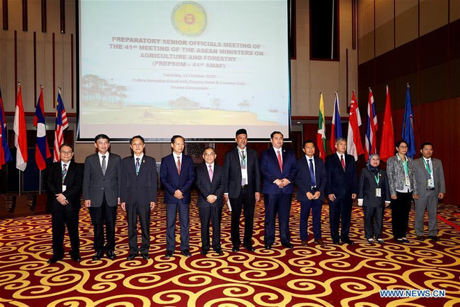 Destacan importancia de lazos entre países de la ASEAN para avance de Brunei ảnh 1