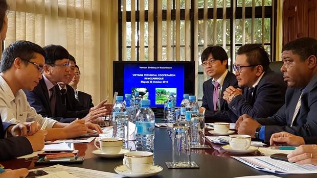 Cooperan Vietnam y Japón para apoyar al desarrollo socioeconómico de Mozambique ảnh 1