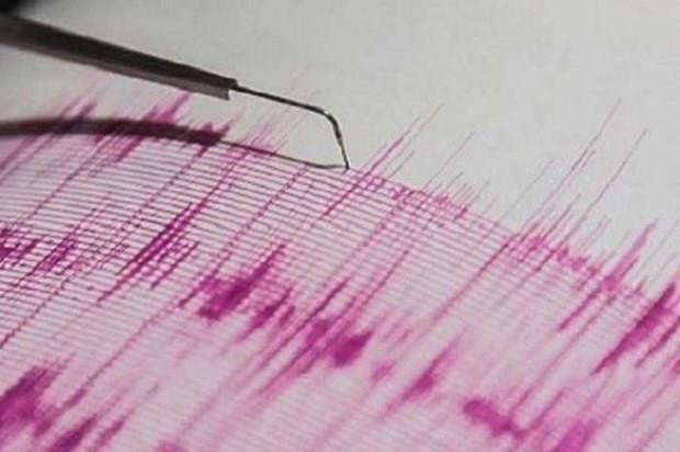 Sacude el sur de Filipinas terremoto de magnitud 6,4 en la escala de Richter ảnh 1 Sacude el sur de Filipinas terremoto de magnitud 6,4 en la escala de Richter ảnh 1