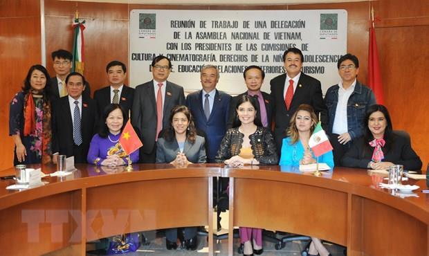 Intercambian Vietnam y México experiencias legislativas en asuntos culturales y educativos ảnh 3