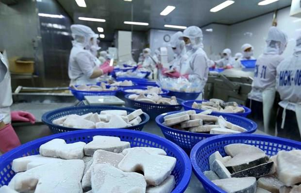 Destaca oficina de cooperación de Japón ritmo de crecimiento sólido de Vietnam ảnh 1 Destaca oficina de cooperación de Japón ritmo de crecimiento sólido de Vietnam ảnh 1