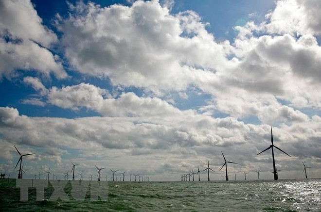 Empresa japonesa apoya a Indonesia en establecimiento de sistema de “energía verde” ảnh 1 Empresa japonesa apoya a Indonesia en establecimiento de sistema de “energía verde” ảnh 1