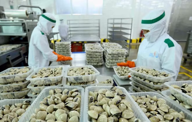 China permite importación de otros tres productos acuáticos de Vietnam ảnh 1