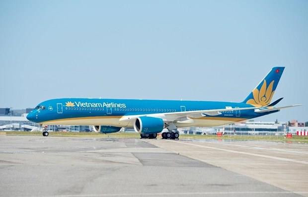 Reprograma Vietnam Airlines vuelos a Japón por tifón Hagibis ảnh 1