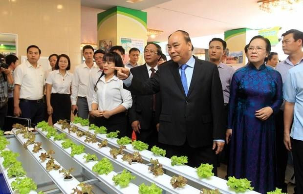 Insta Premier a Hai Phong a ser pionero en modernización rural ảnh 1 Insta Premier a Hai Phong a ser pionero en modernización rural ảnh 1