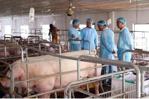 Muestra provincia vietnamita de Hai Duong fuerte desempeño en modernización rural ảnh 1