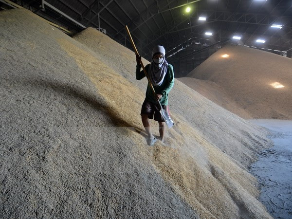 Tailandia aplica multas a actividades de intermediario de empleo ilegal ảnh 1 Tailandia aplica multas a actividades de intermediario de empleo ilegal ảnh 1