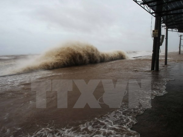 Quang Ninh suspende operación de barcos turísticos debido a tifón Talas ảnh 1