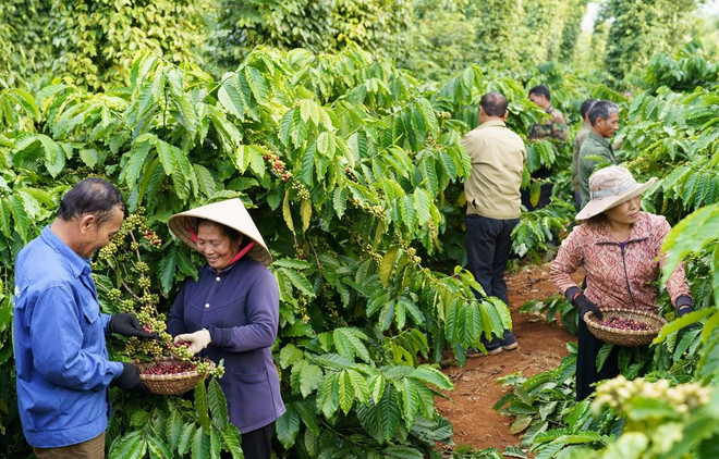 Exhortan a empresas vietnamitas a asumir ESG para su desarrollo sostenible ảnh 1 Exhortan a empresas vietnamitas a asumir ESG para su desarrollo sostenible ảnh 1