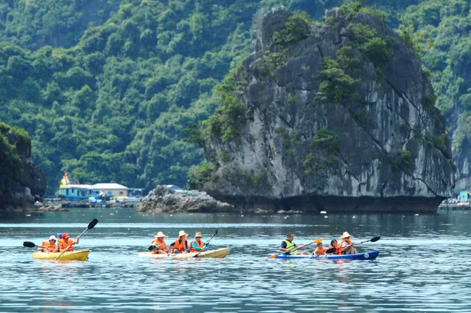 Isla Cat Ba – destino atractivo de ciudad de Hai Phong ảnh 5