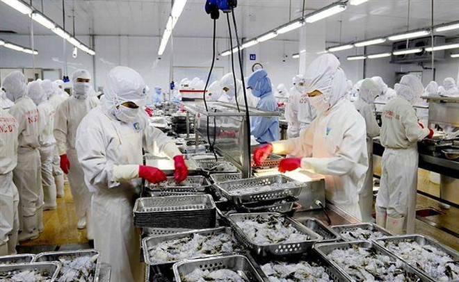 Provincia vietnamita de Ca Mau alcanza desarrollo destacado después de 25 años ảnh 4 Provincia vietnamita de Ca Mau alcanza desarrollo destacado después de 25 años ảnh 4