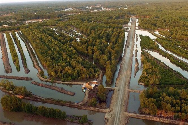 Provincia vietnamita de Ca Mau alcanza desarrollo destacado después de 25 años ảnh 3 Provincia vietnamita de Ca Mau alcanza desarrollo destacado después de 25 años ảnh 3