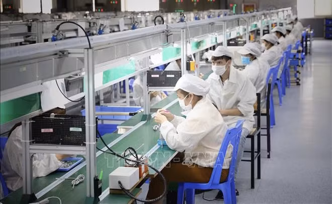 Exigen impedir expansión del COVID-19 a áreas seguras en Vietnam ảnh 1