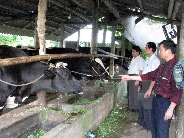Elogian cooperación en educación agrícola entre Vietnam y Bélgica ảnh 1