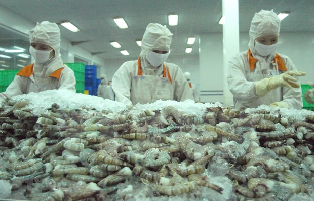 Exportaciones camaroneras de Vietnam aumentaron en 2021 ảnh 1 Exportaciones camaroneras de Vietnam aumentaron en 2021 ảnh 1