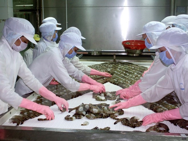 Vietnam supera dificultades para aumentar exportaciones de productos acuícolas ảnh 1 Vietnam supera dificultades para aumentar exportaciones de productos acuícolas ảnh 1