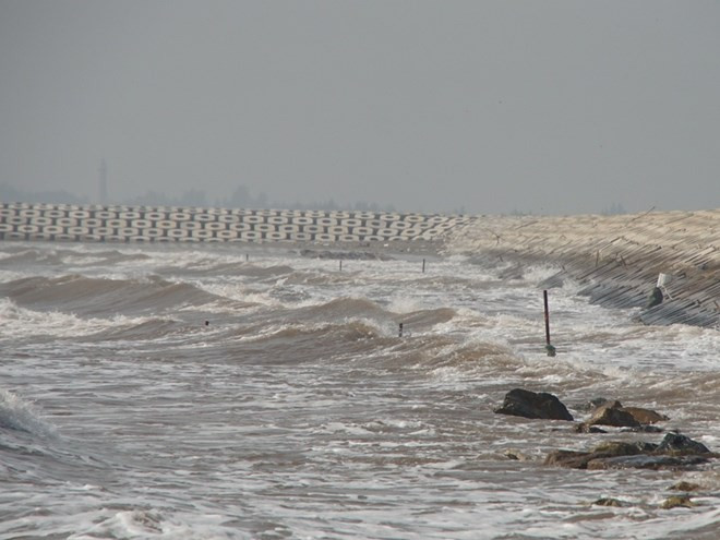 Nam Dinh se esfuerza para desarrollar economía marítima ảnh 1 Nam Dinh se esfuerza para desarrollar economía marítima ảnh 1