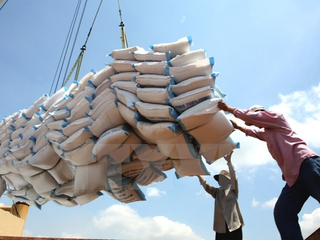 Exportadores vietnamitas de arroz obtienen acceso al mercado chino ảnh 1 Exportadores vietnamitas de arroz obtienen acceso al mercado chino ảnh 1