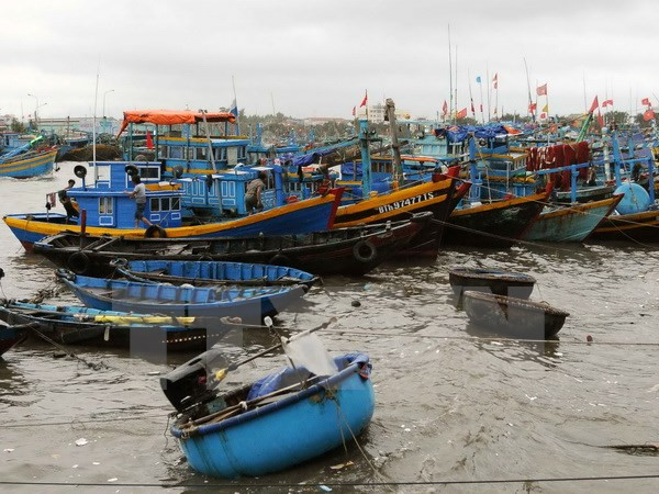 Vietnam impulsa investigaciones y gestión de explotación del mar e islas ảnh 1 Vietnam impulsa investigaciones y gestión de explotación del mar e islas ảnh 1