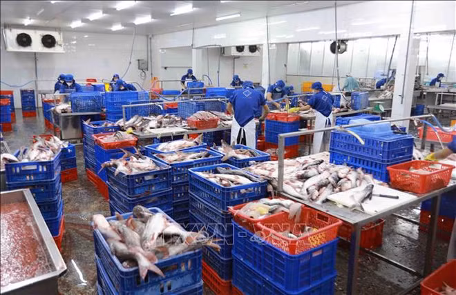 Vietnam registra superávit comercial de 9,4 mil millones de USD ảnh 2